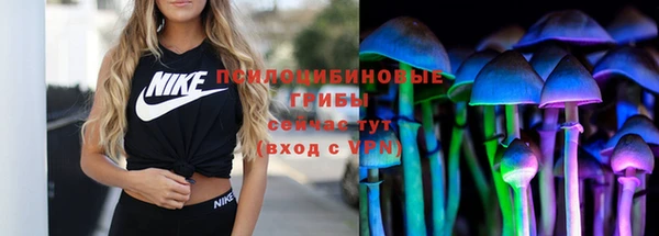 PSILOCYBIN Верхний Тагил