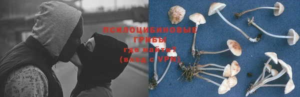 крисы Снежногорск