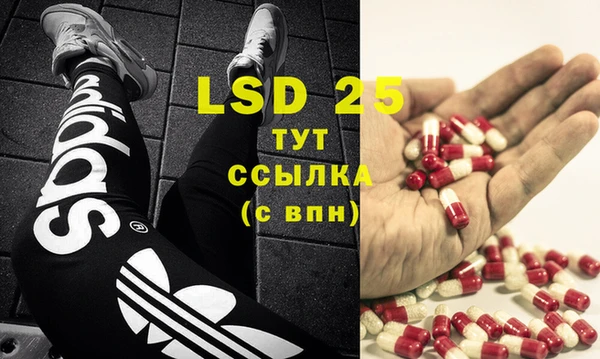 стафф Богородицк