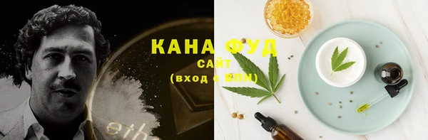 мдпв Богданович