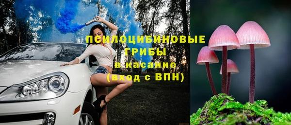 PSILOCYBIN Верхний Тагил