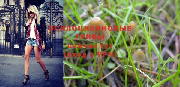 PSILOCYBIN Верхний Тагил