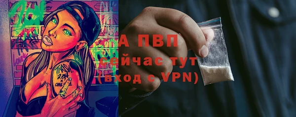 стафф Богородицк