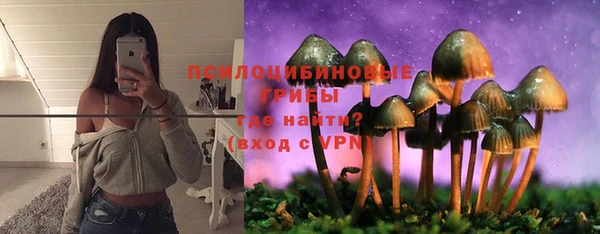 винт Богородск
