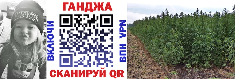Бошки Шишки план  где найти   Елабуга 